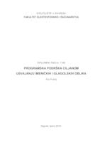 Programska podrška ciljanom usvajanju imeničkih i glagolskih oblika