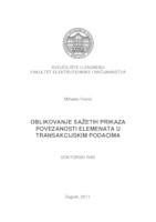 Oblikovanje sažetih prikaza povezanosti elemenata u transakcijskim podacima