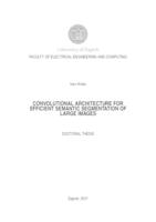 Konvolucijska arhitektura za učinkovitu semantičku segmentaciju velikih slika