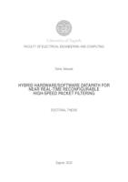 Hybrid hardware/software datapath for near real-time reconfigurable high-speed packet filtering