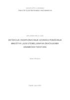 Detekcija i raspoznavanje uzoraka ponašanja mnoštva ljudi utemeljena na značajkama dinamičkih tekstura