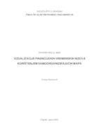 Vizualizacija financijskih vremenskih nizova korištenjem samoorganizirajućih mapa