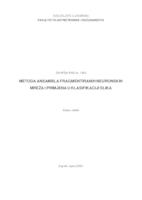 prikaz prve stranice dokumenta Metoda ansambla fragmentiranih neuronskih mreža i primjena u klasifikaciji slika
