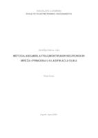 prikaz prve stranice dokumenta Metoda ansambla fragmentiranih neuronskih mreža i primjena u klasifikaciji slika