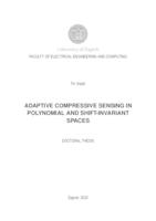prikaz prve stranice dokumenta Adaptive compressive sensing in polynomial and shift-invariant spaces
